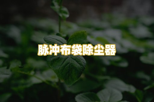 脉冲布袋除尘器